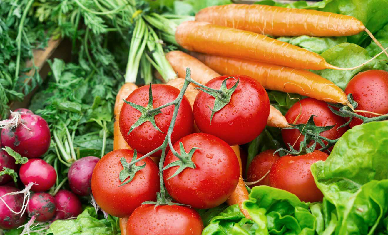 Guardians of this planet