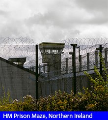 Maze Prison